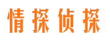 宁明侦探公司